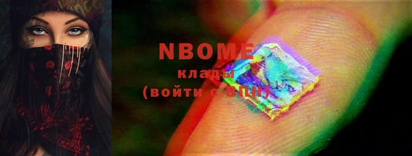 гашик Бородино