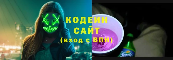 гашик Бородино