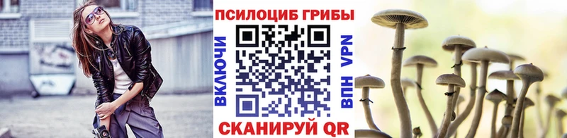 Псилоцибиновые грибы мухоморы  Саранск 